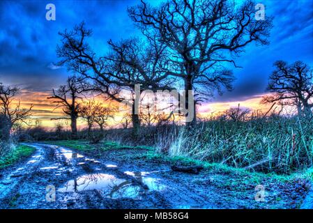 Dorf von Coddington, England. Künstlerische Sonnenuntergang über einem Reitweg in ländlichen Cheshire. Stockfoto