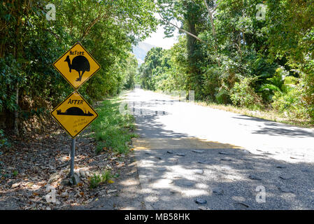 Die berühmten cassowary Warnschild in Daintree Regenwald, Queensland, Australien Stockfoto