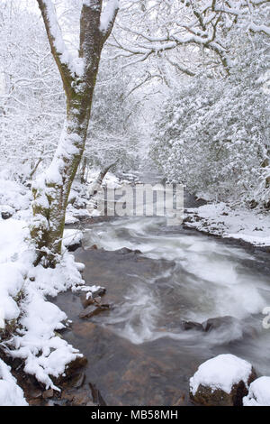 Osten Okement Fluss im Winter in der Nähe von Okehampton Devon, Großbritannien Stockfoto