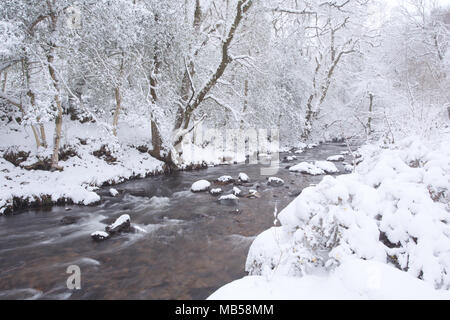 Osten Okement Fluss im Winter in der Nähe von Okehampton Devon, Großbritannien Stockfoto