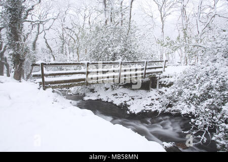 Moor Bach im Winter in der Nähe von Okehampton Devon, Großbritannien Stockfoto