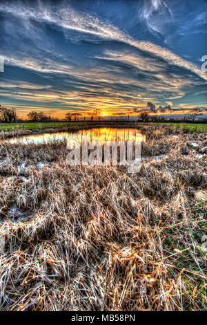 Dorf von Coddington, England. Künstlerische Sonnenuntergang Blick auf ein Süßwasser-Teich in einem Cheshire Landwirtschaft Feld. Stockfoto