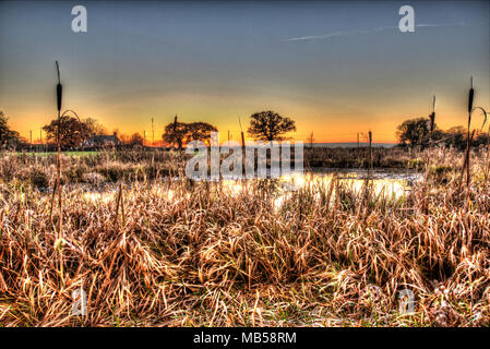 Dorf von Coddington, England. Künstlerische Sonnenuntergang Blick auf ein Süßwasser-Teich in einem Cheshire Landwirtschaft Feld. Stockfoto