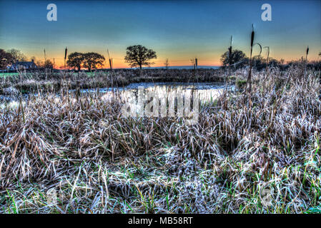 Dorf von Coddington, England. Künstlerische Sonnenuntergang Blick auf ein Süßwasser-Teich in einem Cheshire Landwirtschaft Feld. Stockfoto