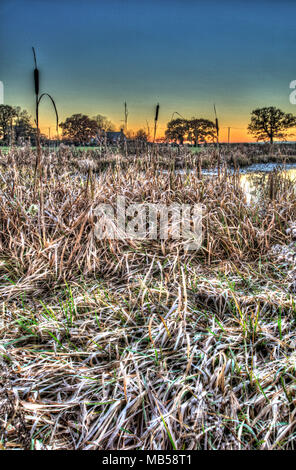 Dorf von Coddington, England. Künstlerische Sonnenuntergang Blick auf ein Süßwasser-Teich in einem Cheshire Landwirtschaft Feld. Stockfoto