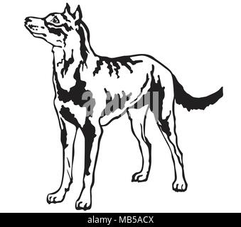 Dekorative Portrait von ständigen im Profil Beauceron, Vektor isoliert Abbildung in schwarz auf weißem Hintergrund Stock Vektor