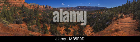 Red Rock Secret Mountain Wilderness Panorama mit Kaffeekanne Rock, die Sphinx, die Finne, Wilson, Berg und Steamboat Felsformationen, Sedona, Arizona Stockfoto