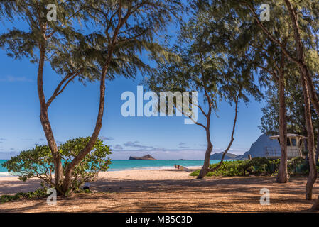 Anzeigen von Rabbit Island von Kailua Beach auf Oahu, Hawaii mit wüsteneisenholz Bäume, ein Lifeguard Tower und ein Surfboard im Vordergrund. Stockfoto