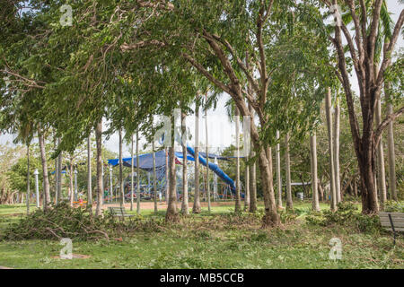 Den Bicentennial Park mit Spielplatz und Cyclone Marcus Rückstände in Darwin, Australien Stockfoto
