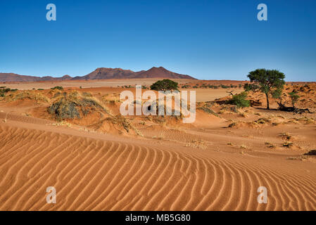 Einsame Landschaft des NamibRand Nature Reserve, Namibia, Afrika Stockfoto