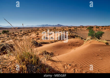 Einsame Landschaft des NamibRand Nature Reserve, Namibia, Afrika Stockfoto