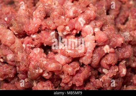 Hackfleisch/Wildschwein von einem Wildschwein geschossen in der Toskana Italien Burger und Chili con Carne, mit einem Haus hacken Maschine zu machen. Stockfoto