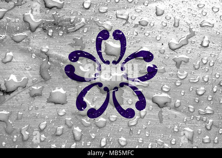 Flagge von Sakura mit Regentropfen Stockfoto