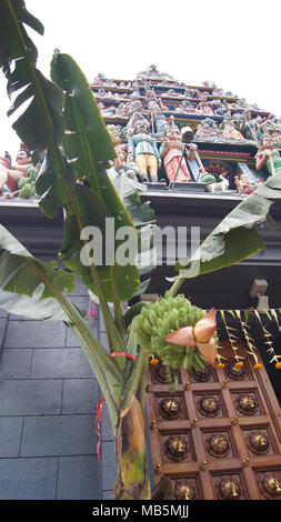 Singapur - APR 3 2015: Majestic Eingang des Sri Mariamman Tempel mit bunten Schnitzereien auf dem Dach und eine Bananenstaude. Stockfoto