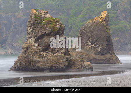 Sea Stacks, Ruby Beach, Olympic National Park, Washington Stockfoto