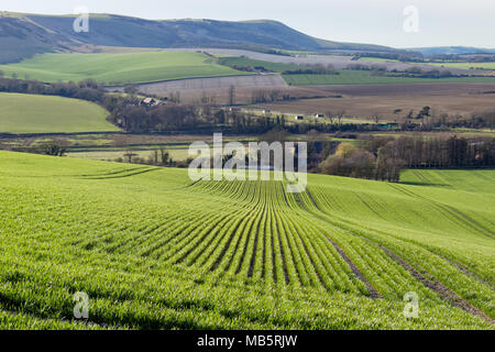 In der Nähe von seaford Sussex/UK - 5. APRIL: Blick auf Ackerland in der Nähe von Seaford Sussex am 5. April 2018 Stockfoto