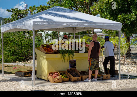 Obst und Gemüse Anbieter, Falmouth, Antigua Stockfoto