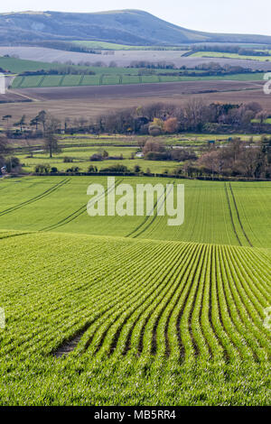 In der Nähe von seaford Sussex/UK - 5. APRIL: Blick auf Ackerland in der Nähe von Seaford Sussex am 5. April 2018 Stockfoto