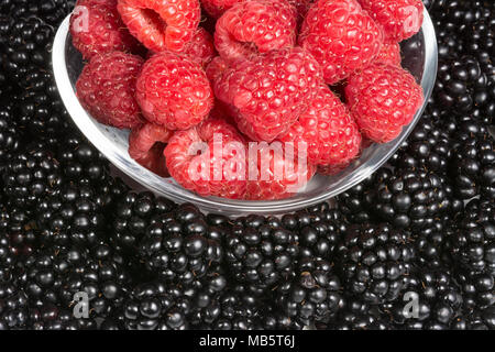 Kontrast von Rot und Schwarz fruchtig Textur. Detail der saftigen Himbeeren in eine Glasschüssel auf Black haufen Hintergrund. Stockfoto