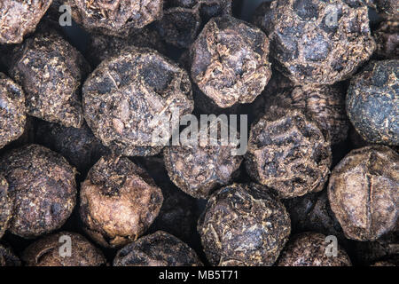 Nahaufnahme der schwarze Pfefferkörner als dekorativen Hintergrund. Piper nigrum. Schöne dunkle braune Textur aus einem Haufen von getrockneten aromatischen Pfeffer Körner im Detail. Stockfoto