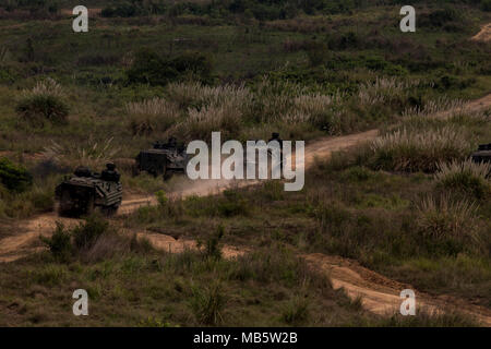 Us-Marines und der Republik Korea Marine Drive Amphibious Assault Fahrzeuge zu simulieren ein Angriff während der Übung Cobra Gold 2018 auf Ban Chan Khrean Camp im Königreich Thailand, Feb 22, 2018. Cobra Gold 18 ist eine jährliche Übung im Königreich Thailand von Feb.13-23 mit sieben volle teilnehmenden Nationen. Stockfoto