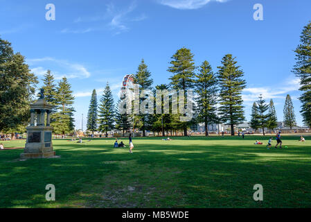 Personen, die eine Feder am Nachmittag im Esplanade Park in Fremantle, Western Australia Stockfoto