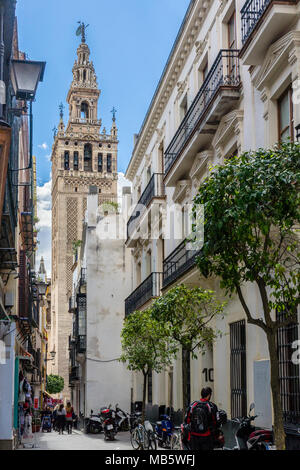 Blick durch die alten engen Gassen der Giralda Turm in der Altstadt in der spanischen Stadt Sevilla 2018, Andalusien, Spanien Stockfoto