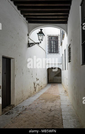 Straße in das Jüdische Viertel (Juderia) im Viertel Santa Cruz in der spanischen Stadt Sevilla, Andalusien, Spanien Stockfoto