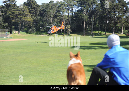 Einem MH-65 Dolphin helicopter Crew von Coast Guard Air Station San Francisco zieht aus grossen Rec Feld im Golden Gate Park, San Francisco, nachdem es eine Notlandung früh am Tag, Februar 22, 2018. Die Mannschaft landete nach einer Warnung, eines offensichtlichen Heckrotor Störung benachrichtigt Stockfoto