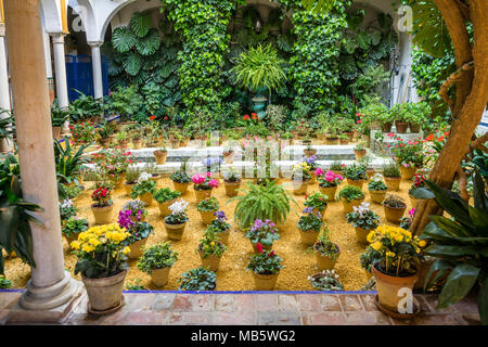Eine Vielzahl von bunten Pflanzen in Töpfen in einem Innenhof eines Wohnhauses in der spanischen Stadt Sevilla, Andalusien, Spanien Stockfoto