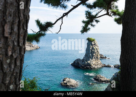 Felsformation Oedolgae zwischen zwei treesin den Ozean an einem sonnigen Tag in Seogwipo, Jeju Island, Korea Stockfoto