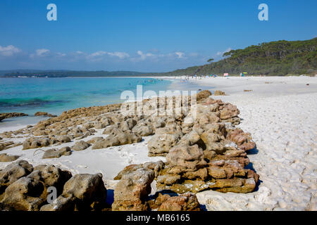 Hyams Strand, als die Welten die weißesten Sandstrand und ein Teil des White Sands renommierte Spaziergang route, Jervis Bay, Australien Stockfoto