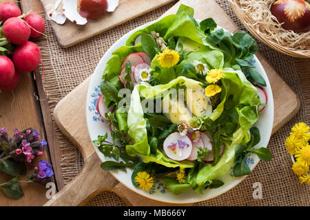 Salat wigh Eier, Salat, Radieschen und wilde essbare Pflanzen (huflattich, Gänseblümchen, Vogelmiere, Löwenzahn, lungenkraut) Stockfoto