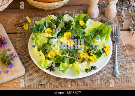 Salat mit Huflattich, ground Elder und andere wilde essbare Pflanzen Stockfoto