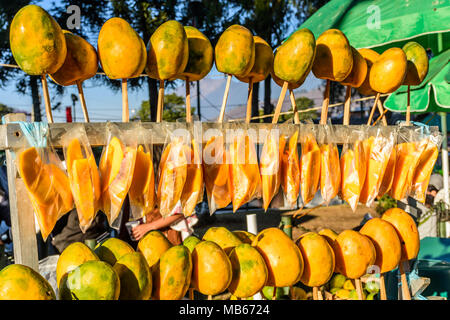 Ganze reife, gelbe Mangos auf Sticks & geschnittene reife Mangos in Säcke auf der Straße abgewürgt, Guatemala, Mittelamerika Stockfoto