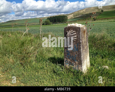 Meilenstein mit dem Symbol des Camino de Santiago de Compostella in Spanien. Stockfoto