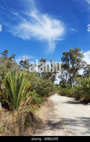 Wisps von Cloud gegen ein strahlend blauer Himmel über Bush - Land am See Joondalup, Perth, Western Australia Stockfoto