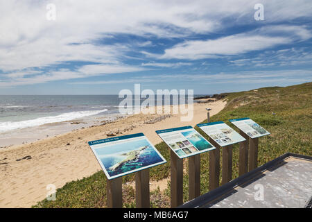 Informative interpretation Boards mit Blick auf einen Strand auf Penguin Island, Rockingham Western Australia Stockfoto