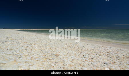 Shell Beach. Denham. Shark Bay. Western Australia Stockfoto