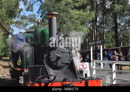 Puffing Billy Railway Stockfoto