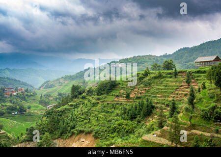 Longsheng Reisterrassen in China Stockfoto