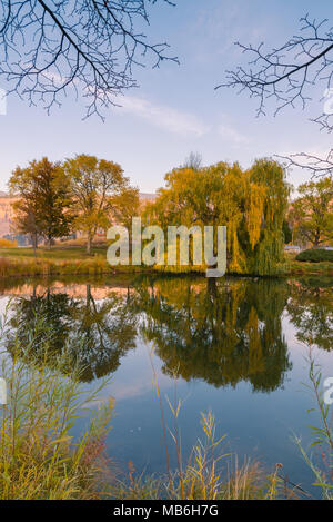 Herbst Bäume und Gräser in Wasser der Ruhe Teich bei Sonnenuntergang wider Stockfoto