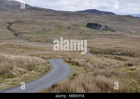 Blick nach Osten von OS Grid 796333 nord-westlich von Llanuwchllyn, Snowdonia National Park, Gwynedd, Wales. Stockfoto