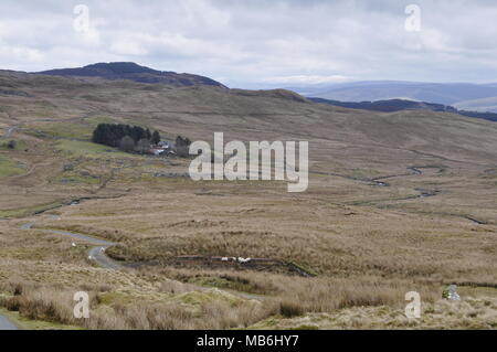 Blick nach Osten von OS Grid 796333 nord-westlich von Llanuwchllyn, Snowdonia National Park, Gwynedd, Wales. Stockfoto