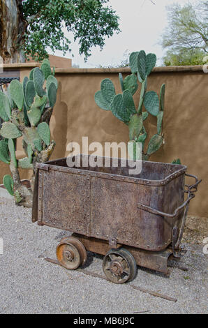 Ein altes Bergbau erz Warenkorb sitzt vor einem riesigen Feigenkakteen und gegen eine Wand. Stockfoto