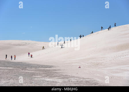 Menschen klettern eine Sanddüne und Sandboarding in Lancelin, Western Australia Stockfoto