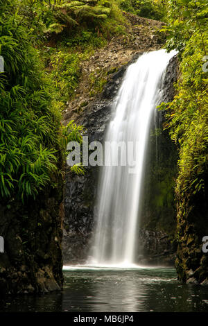 Wainibau-Wasserfall am Ende der Lavena Coastal Walk auf Taveuni Island, Fidschi. Taveuni ist die drittgrößte Insel in Fidschi. Stockfoto