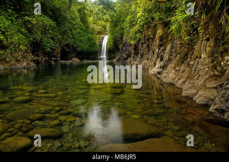 Wainibau-Wasserfall am Ende der Lavena Coastal Walk auf Taveuni Island, Fidschi. Taveuni ist die drittgrößte Insel in Fidschi. Stockfoto