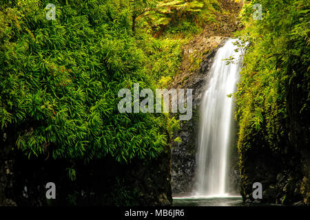 Wainibau-Wasserfall am Ende der Lavena Coastal Walk auf Taveuni Island, Fidschi. Taveuni ist die drittgrößte Insel in Fidschi. Stockfoto
