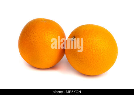 Zwei Orangen auf weißem Hintergrund, Obst. Stockfoto